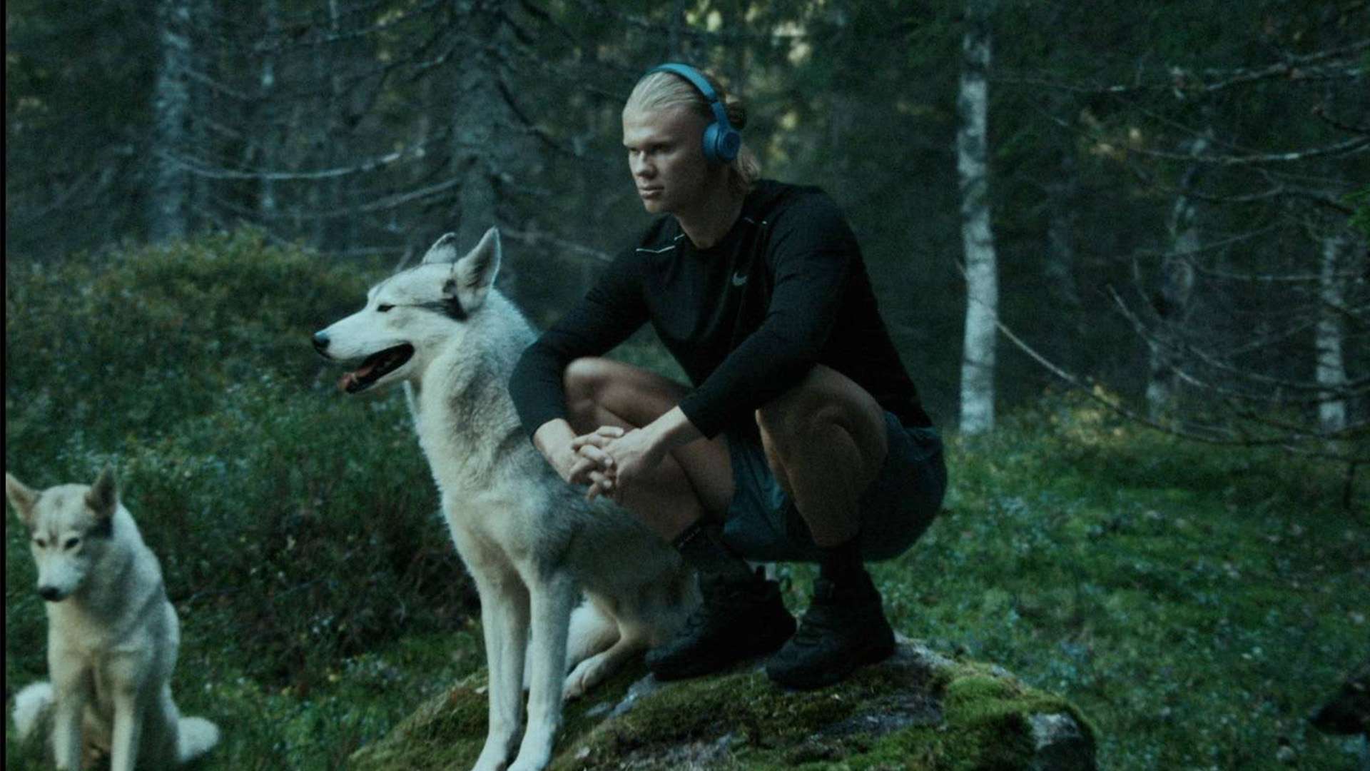 新时代的球