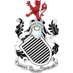 奠定了坚实 奠定了坚实