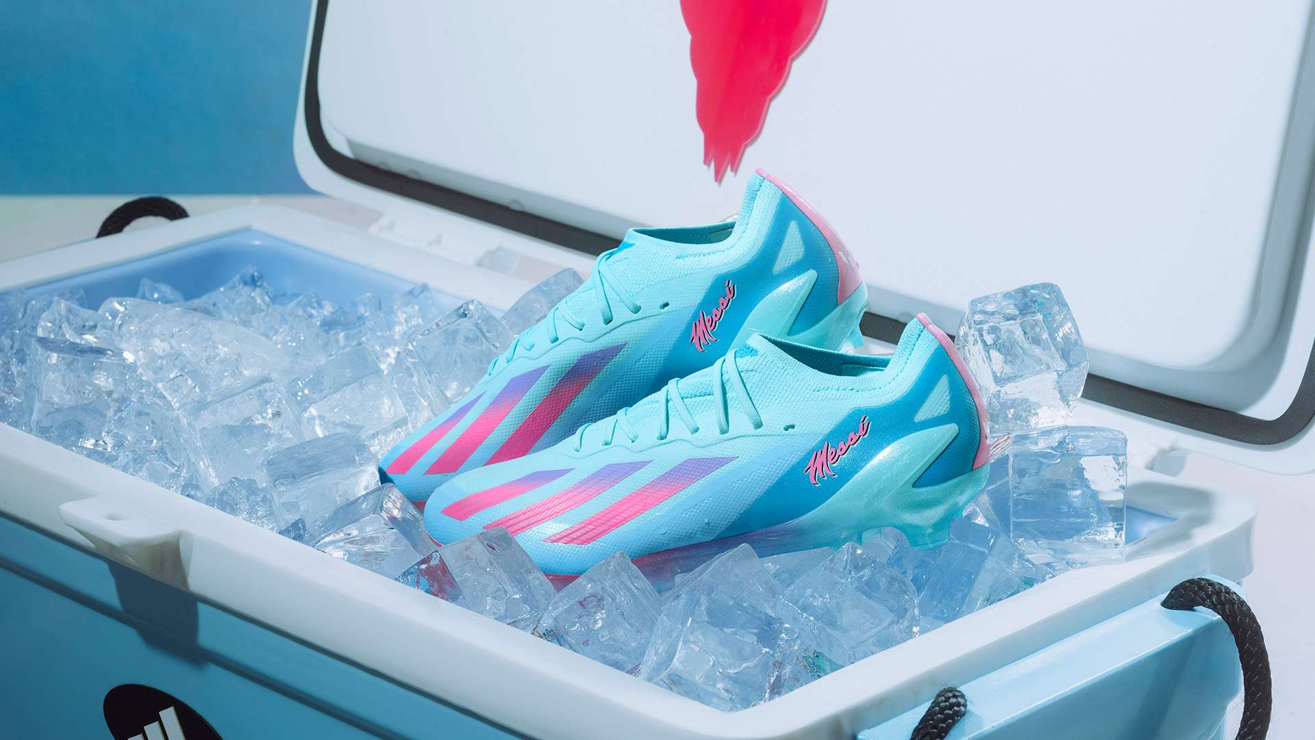 卡塔尔队在 卡塔尔队在